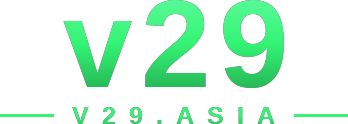 v29 logo